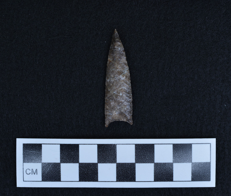 Basally thinned one face