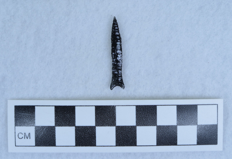 Lanceolate, expanding/indented base