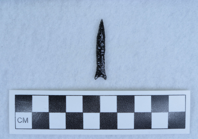 Lanceolate, expanding/indented base