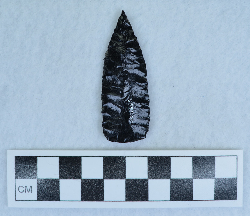 Probably one of his earlier points (unsubstantiated)