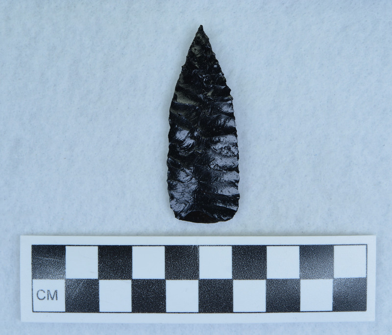 Probably one of his earlier points (unsubstantiated)