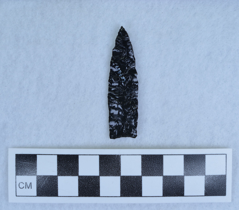 Lanceolate, parallel flaked