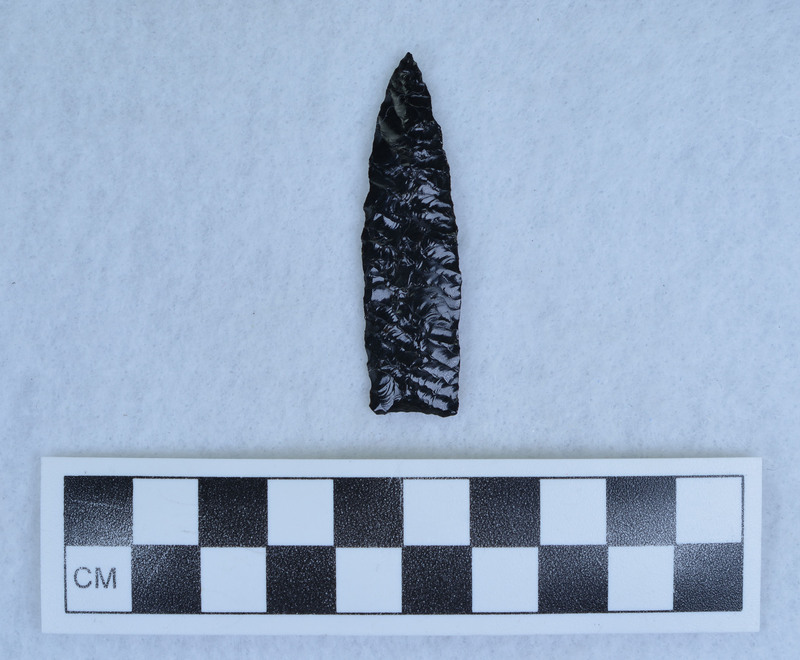 Lanceolate, parallel flaked