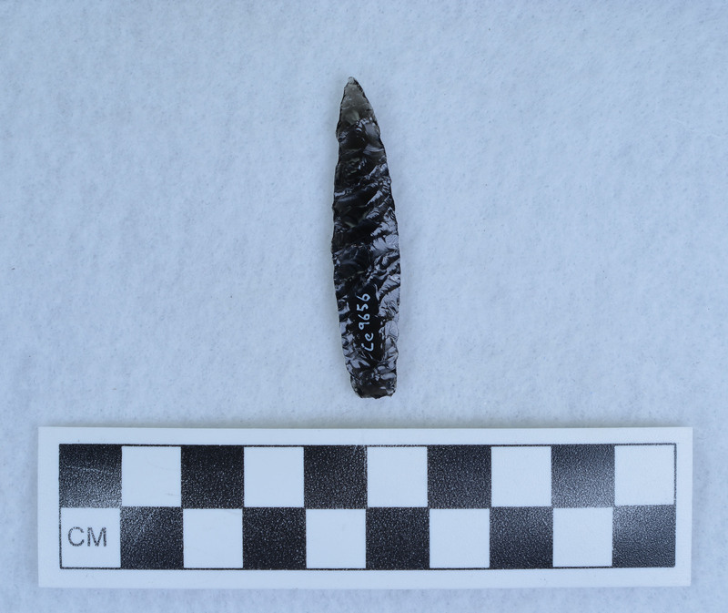 Titmus technique, outrepasse near distal end