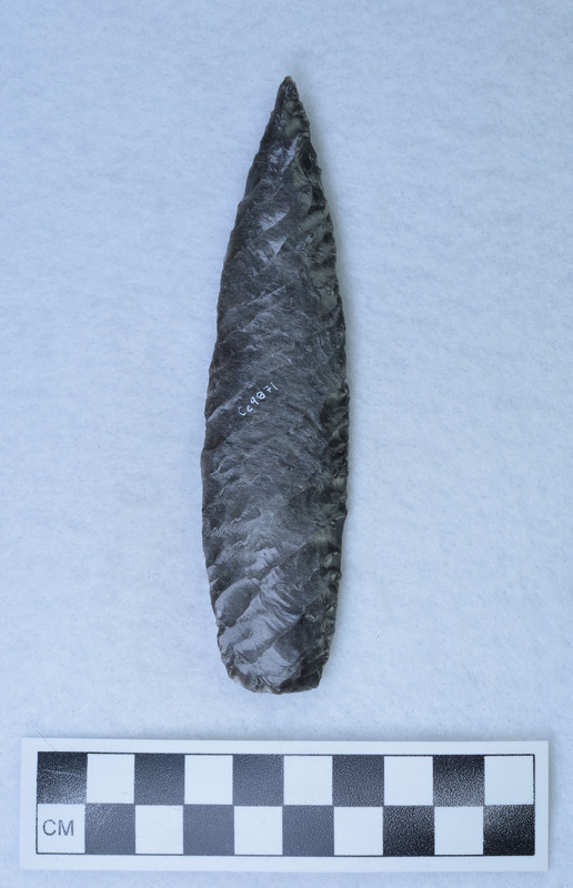 Titmus technique, lanceolate style, basal margins lightly ground