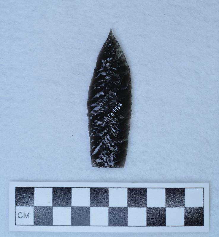 Titmus technique, very delicate distal end