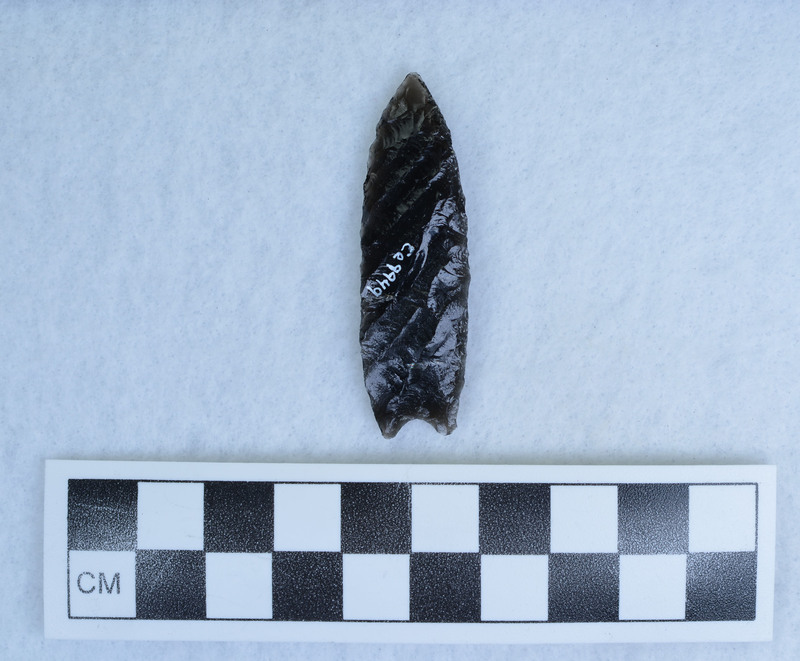 Titmus technique, basal thinning