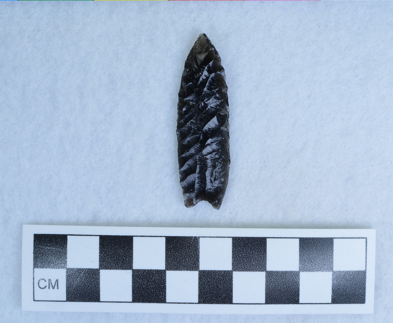 Titmus technique, basal thinning