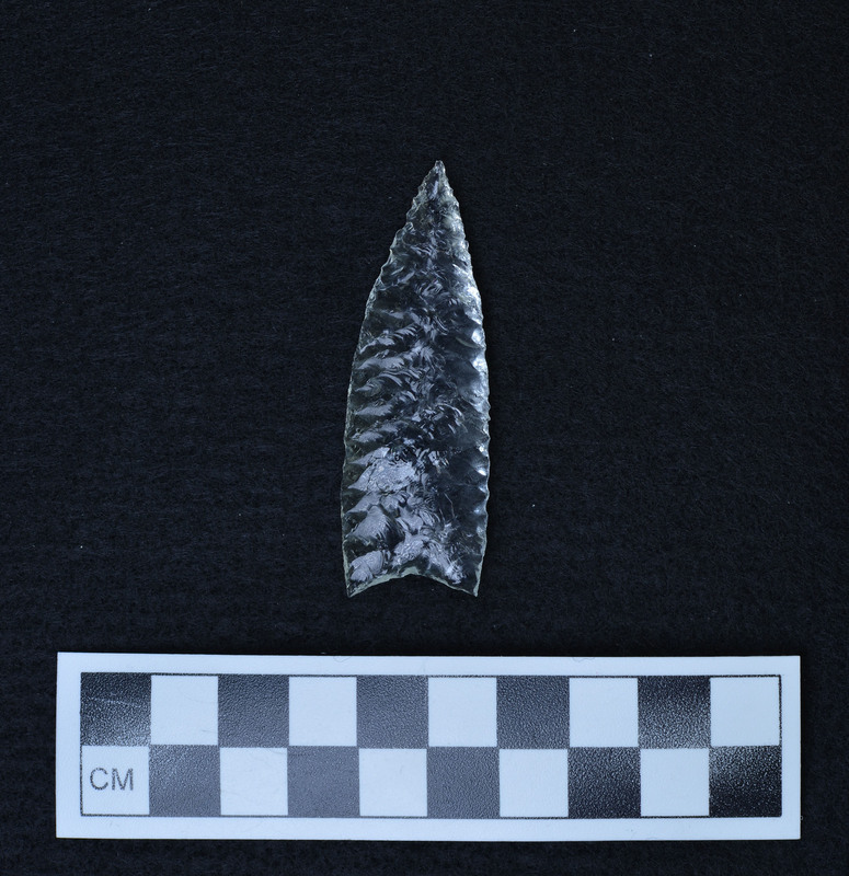 Titmus technique, lanceolate style, grounds basal margins