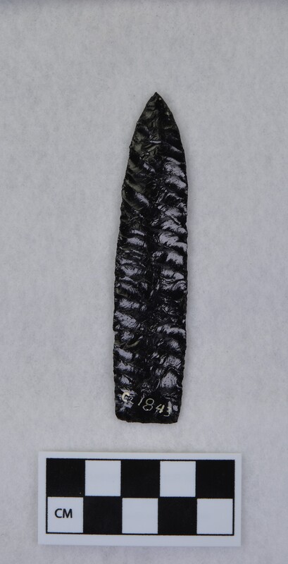 Lanceolate style, ground basal margins, squared stems,