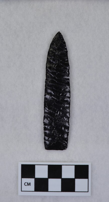 Lanceolate style, ground basal margins, squared stems,