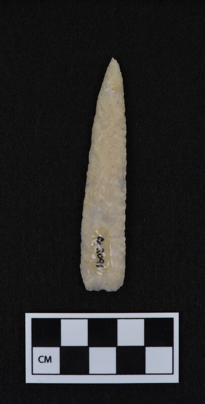 Heat treated, lanceolate style, base thinned