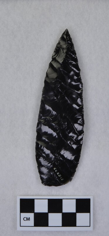 Parallel diagonal flaking to midsection