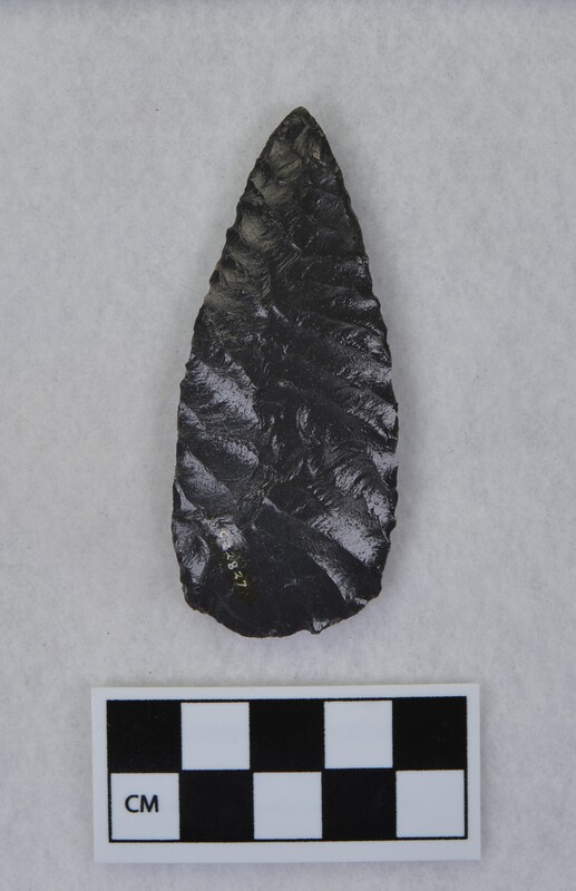 Parallel diagonal chevron flaking to midsection