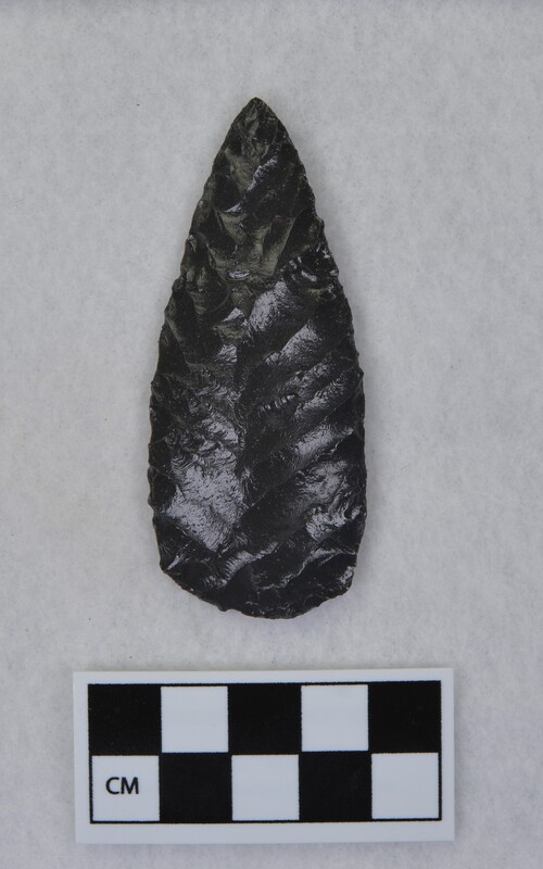 Parallel diagonal chevron flaking to midsection