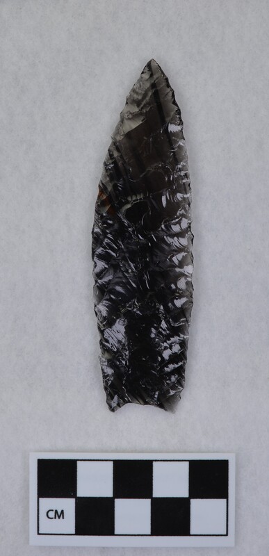 Lanceolate style, basal margin lightly ground, base thinned, concave base