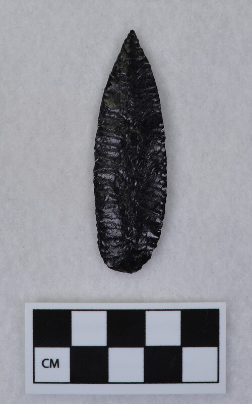 Very delicate flaking on one face. Ignimbrite or vitrophyre. (JW)