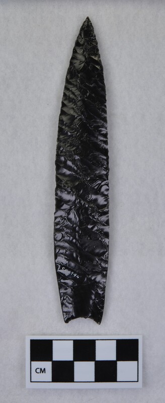 Lanceolate style, basal margin lightly ground, base thinned