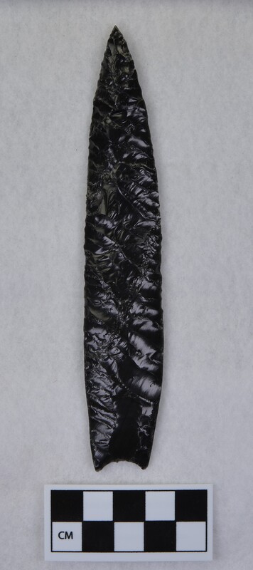 Lanceolate style, basal margin lightly ground, base thinned