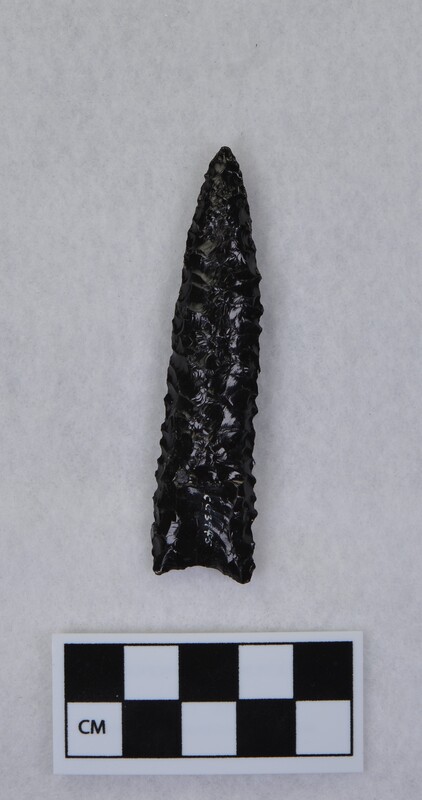 Lanceolate style, basally thinned