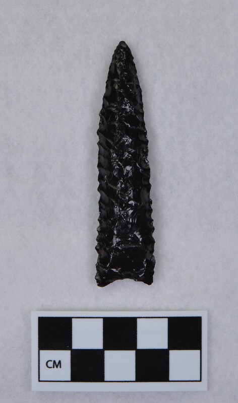 Lanceolate style, basally thinned