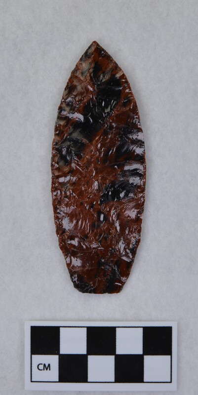 Lanceolate, light basal grinding