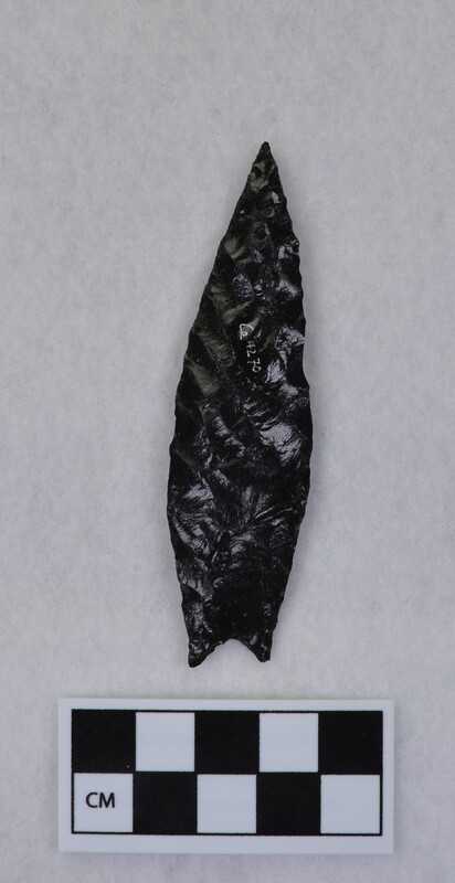 Contracting stem, concave base, basal margins ground and thinned