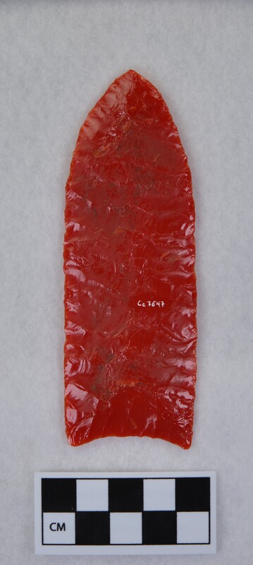 Parallel sides, concave base, basal thinning