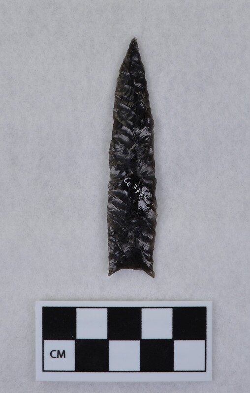 Lanceolate style, basal margin lightly ground, base thinned