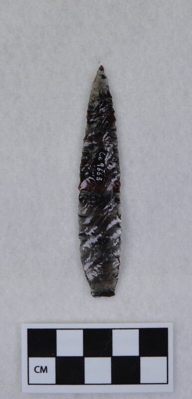 Lanceolate, Titmus technique