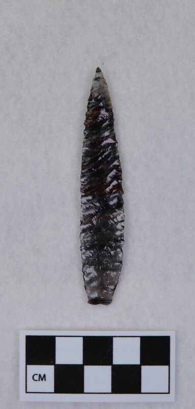 Lanceolate, Titmus technique