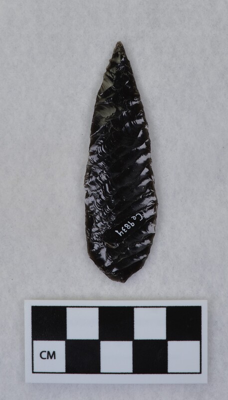 Titmus technique, ovate