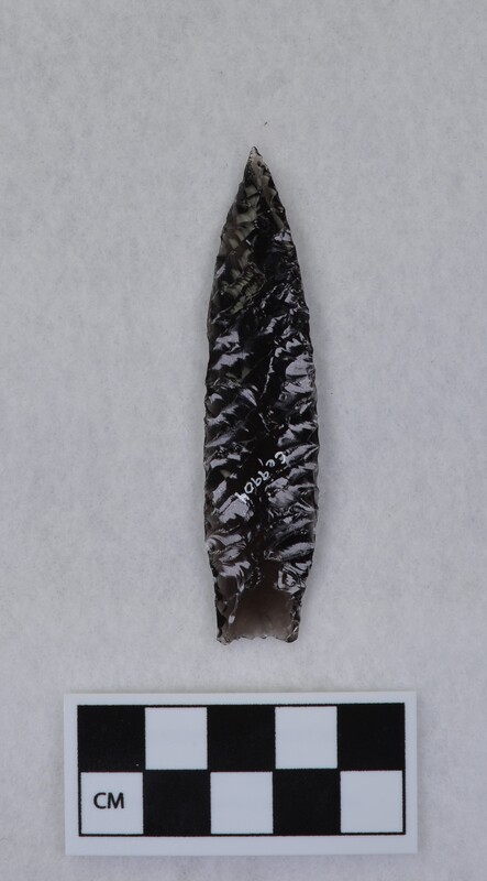 Titmus technique, lanceolate style, basal margin lightly ground, base thinned