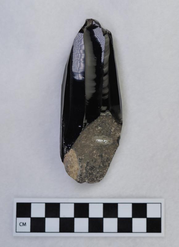 Prismatic, platform missing