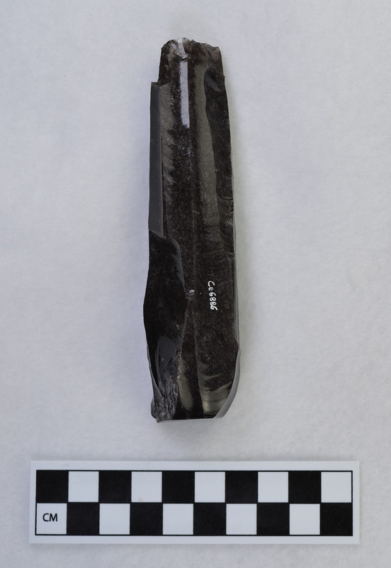 Pressure, polyhedral, Mesoamerican. Platform area at proximal end completely used up. Two blades stepped off very near proximal end. Core either dropped on distal end and flake removed or removed intentionally. Made from sawed core. (GT)