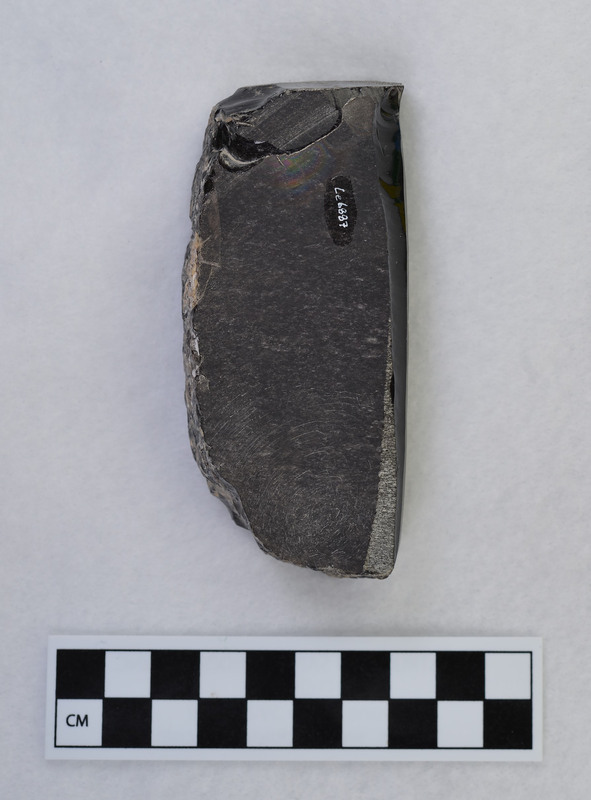 Pressure, Mesoamerican, made from cut slab. Platform heavily abraded. Original cortex one face. Blades not removed all the way around core due to crack in core near base. (GT)