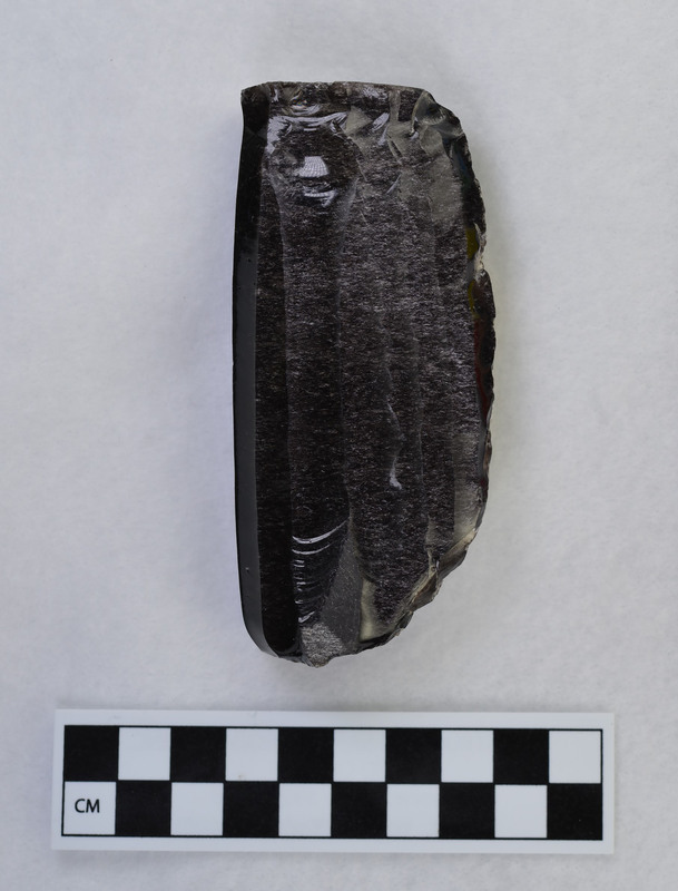 Pressure, Mesoamerican, made from cut slab. Platform heavily abraded. Original cortex one face. Blades not removed all the way around core due to crack in core near base. (GT)