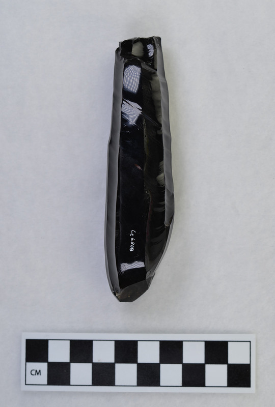 Polyhedral, Mesoamerican. Natural surface used for platform area. Several blades stepped off near proximal end. (GT)