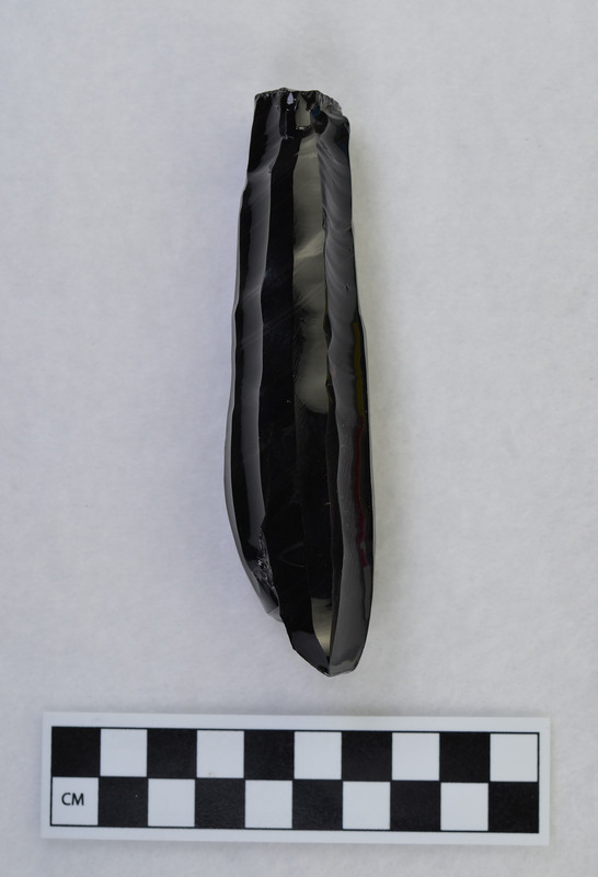 Polyhedral, Mesoamerican. Natural surface used for platform area. Several blades stepped off near proximal end. (GT)