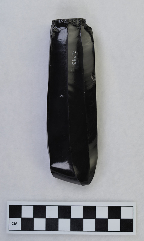 Mesoamerican. Too many errors at proximal end to continue. (JW)