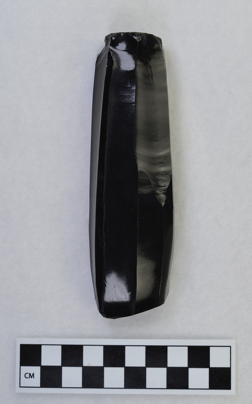 Mesoamerican. Too many errors at proximal end to continue. (JW)