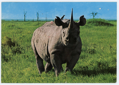 Postcard from Nicholas Toth to Donald Crabtree