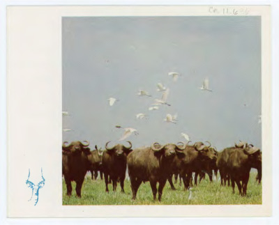 Card from Frederick and Consie Hadleigh West to Donald Crabtree