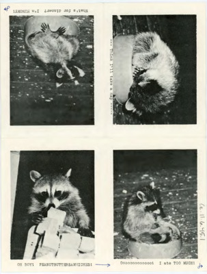 Letter from Joe Ben and Pat Wheat to Donald and Evelyn Crabtree
