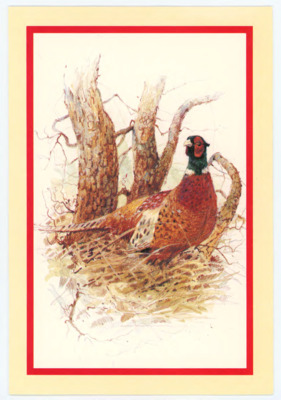 Holiday card from Fred Budinger Jr. to Donald Crabtree