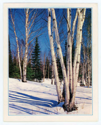 Postcard from Alan, Ruth, and Clyde Bryan wishing Don Crabtree a Merry Christmas and Happy New Year