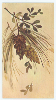 Card from the Haynes family to Don Crabtree