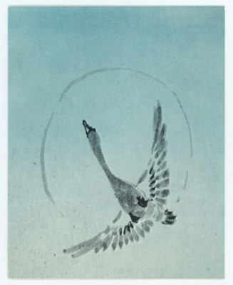 Card from the Haynes family to Don Crabtree