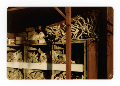 The front of a postcard decorated with a picture of an outdoor shelf filled with lithic materials and tools.