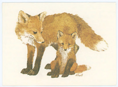 Card from Susanne Miller to Don Crabtree expressing sympathy for the passing of Evelyn Crabtree. She includes photos and descriptions of stone tools from her recent work in Owl Cave.